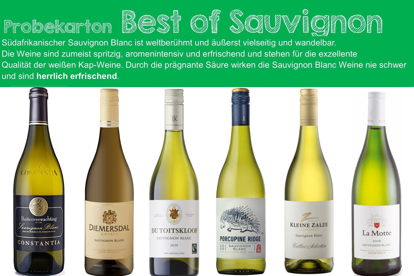 Probierkarton Best of Sauvignon Blanc